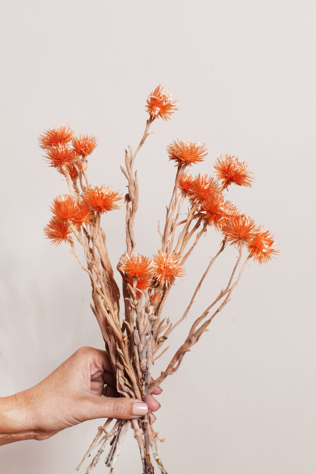 Bunches Orange Silver Daisy send a bouquet- the best flower delivery