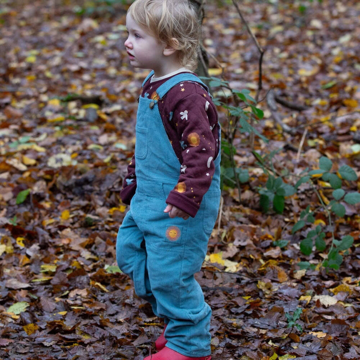 Pale Blue Lined Corduroy Dungarees: Blue / 12-18m send a bouquet- the best flower delivery