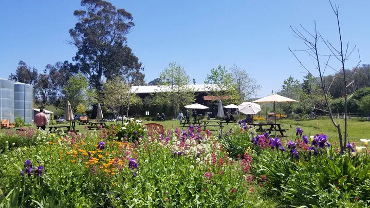 Parr Winery Bouquet Workshop 4/26 send a bouquet- the best flower delivery