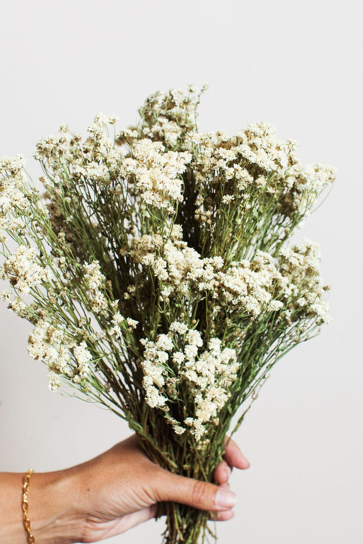 Idlewild Floral Co. Bunches Pearl Achillea