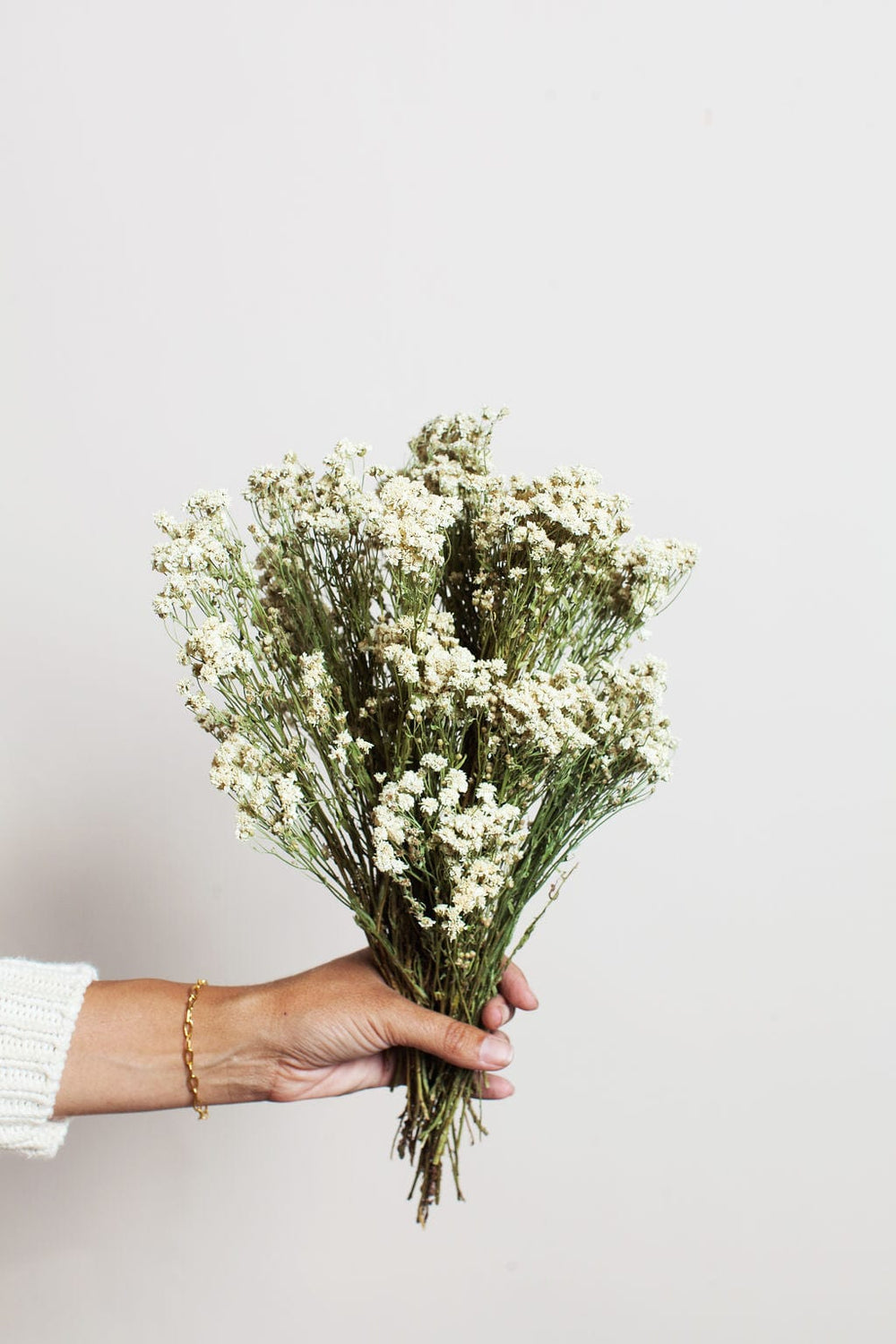 Idlewild Floral Co. Bunches Pearl Achillea