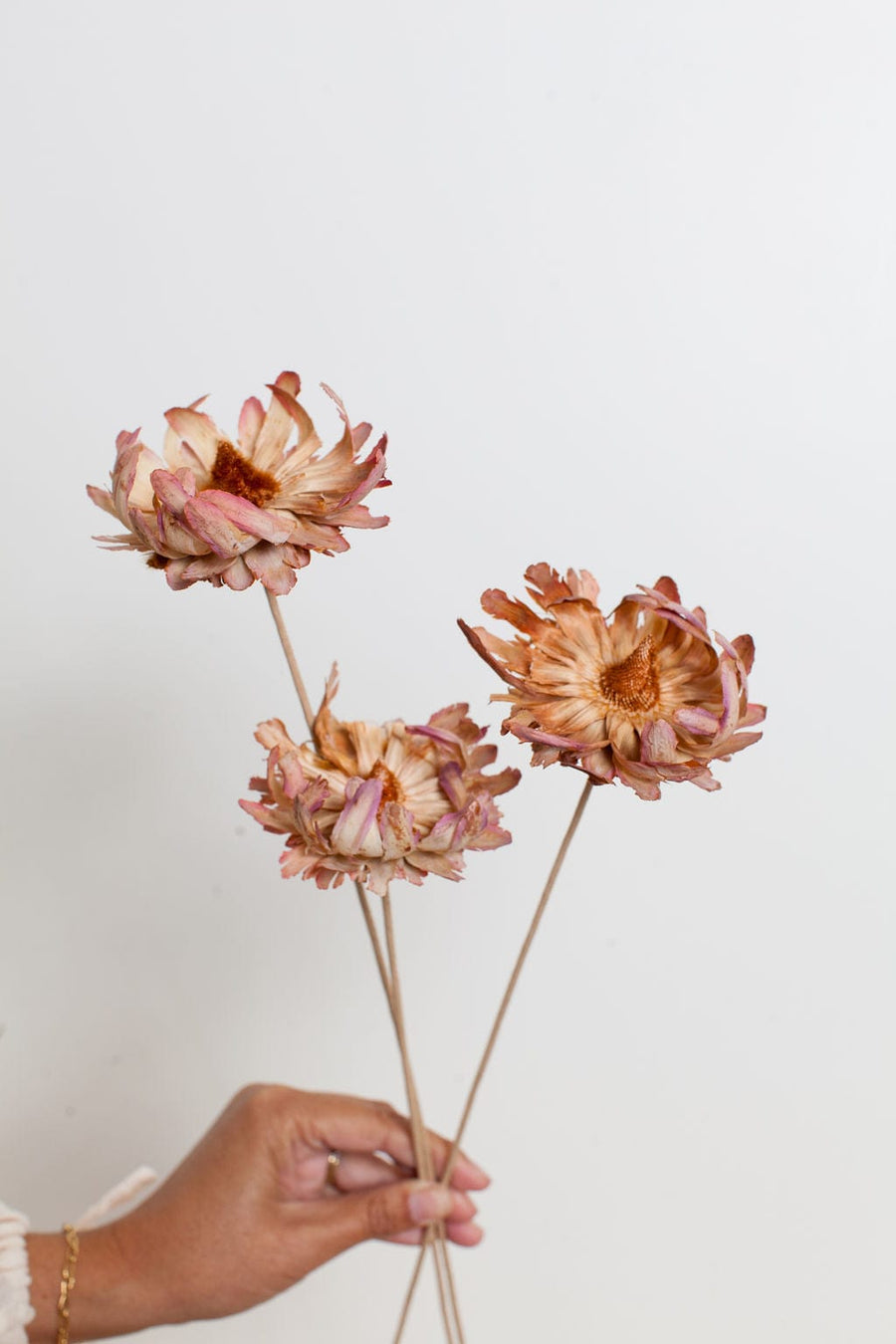 Bunches Phoenix Flower send a bouquet- the best flower delivery