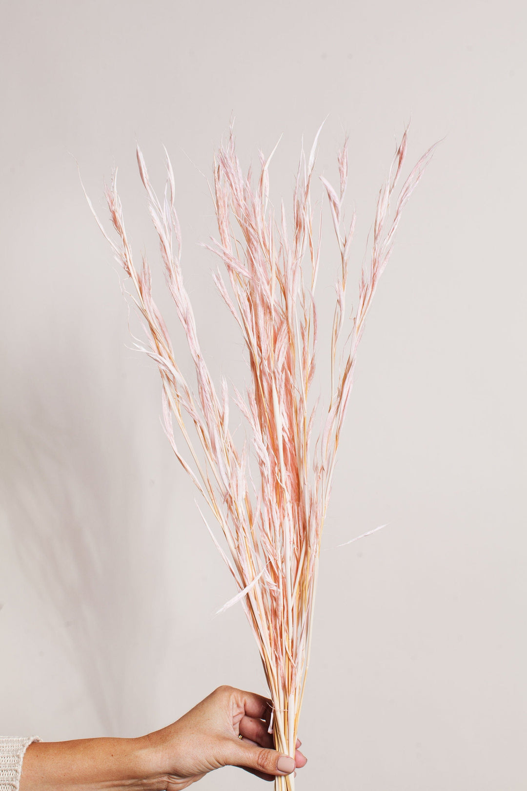 Bunches Pink Air Grass send a bouquet- the best flower delivery