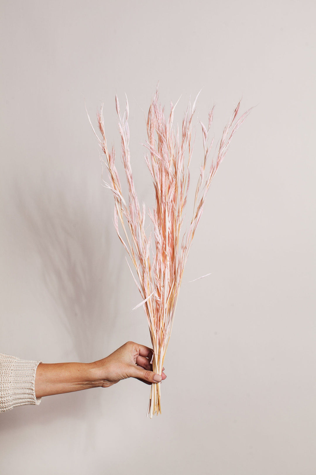 Bunches Pink Air Grass send a bouquet- the best flower delivery