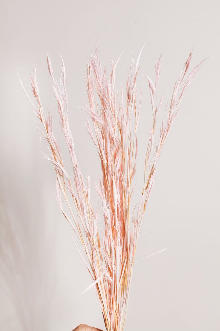 Bunches Pink Air Grass send a bouquet- the best flower delivery