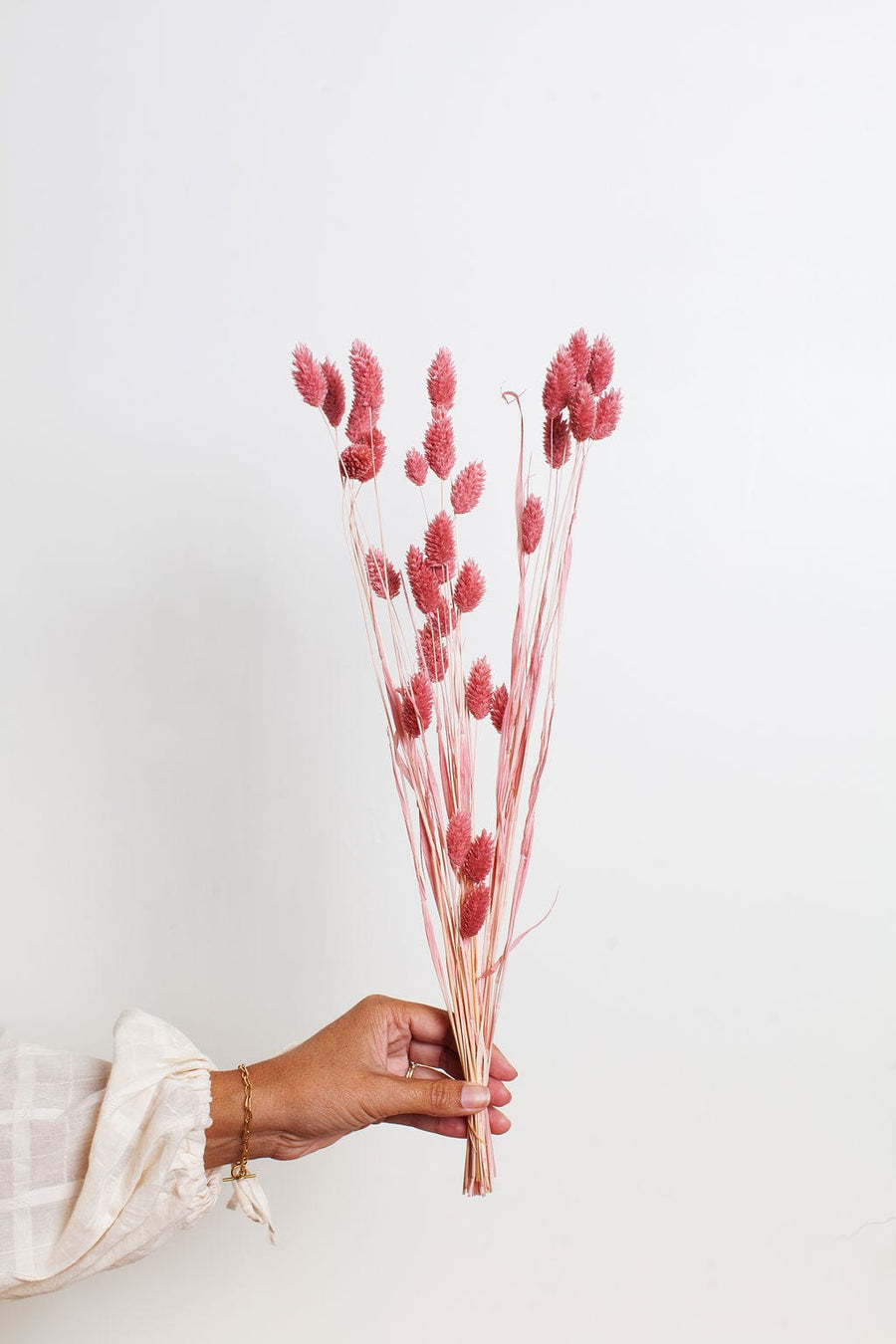 Bunches Pink Dried Phalaris send a bouquet- the best flower delivery