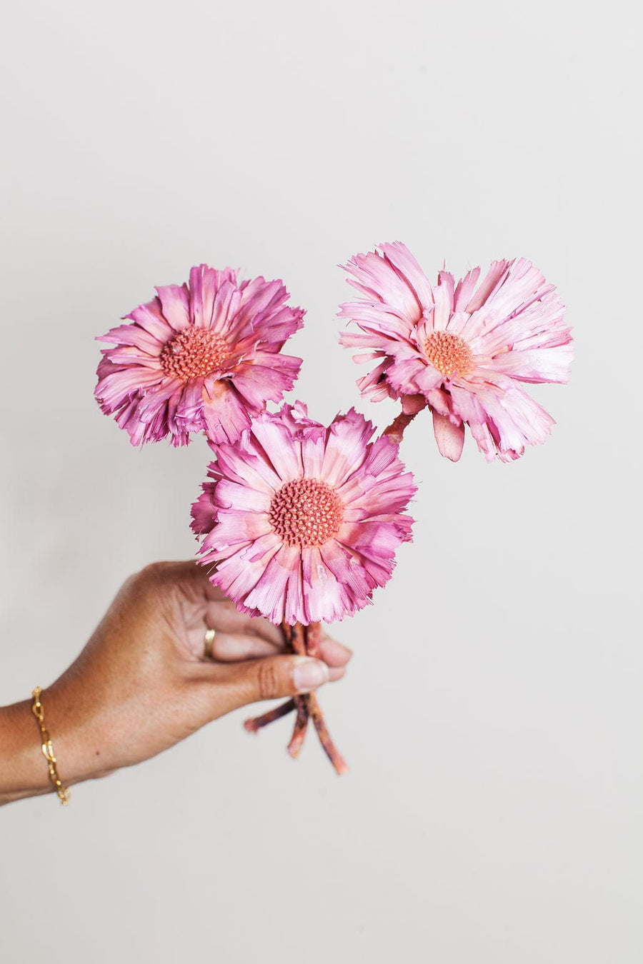 Idlewild Floral Co. Bunches Pink Dried Protea Rosettes