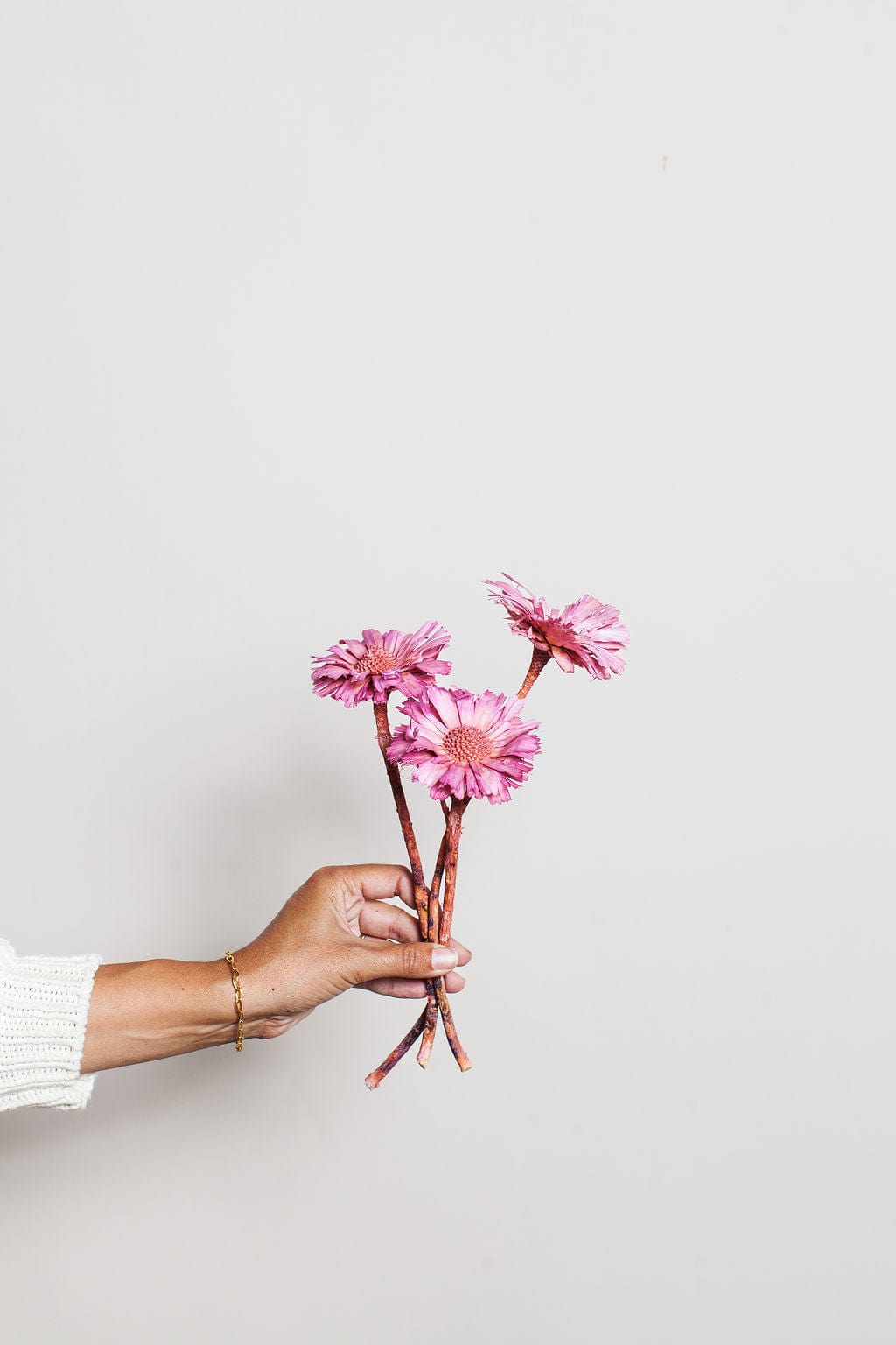 Idlewild Floral Co. Bunches Pink Dried Protea Rosettes