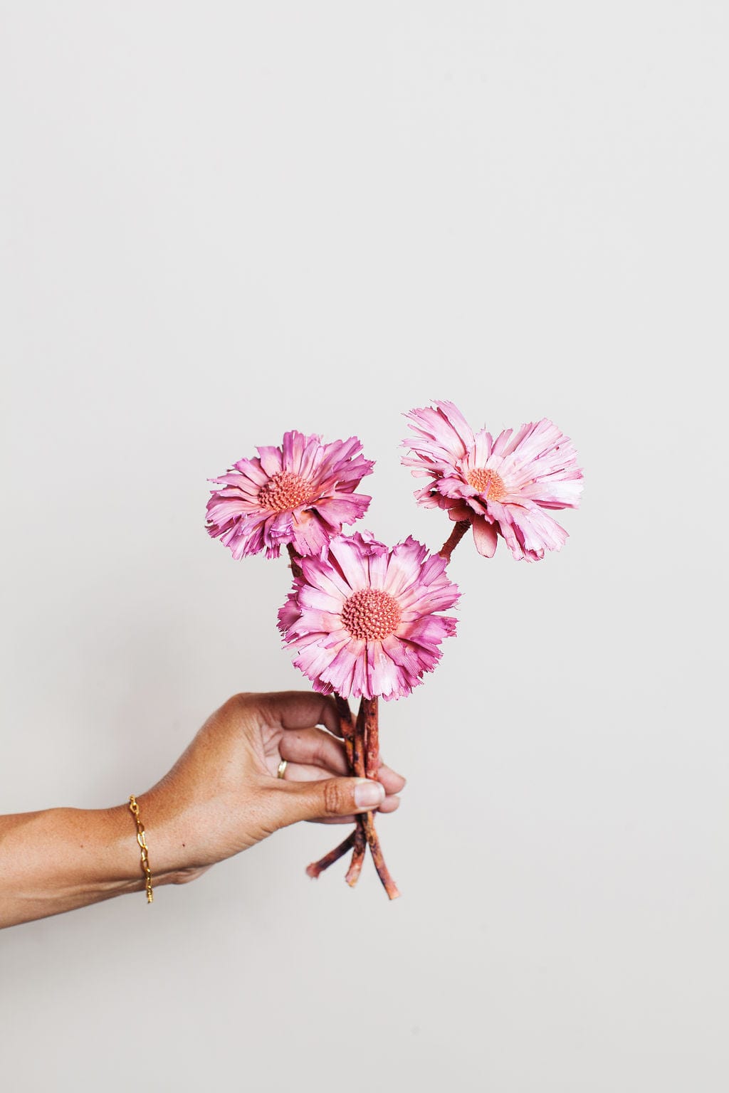 Idlewild Floral Co. Bunches Pink Dried Protea Rosettes