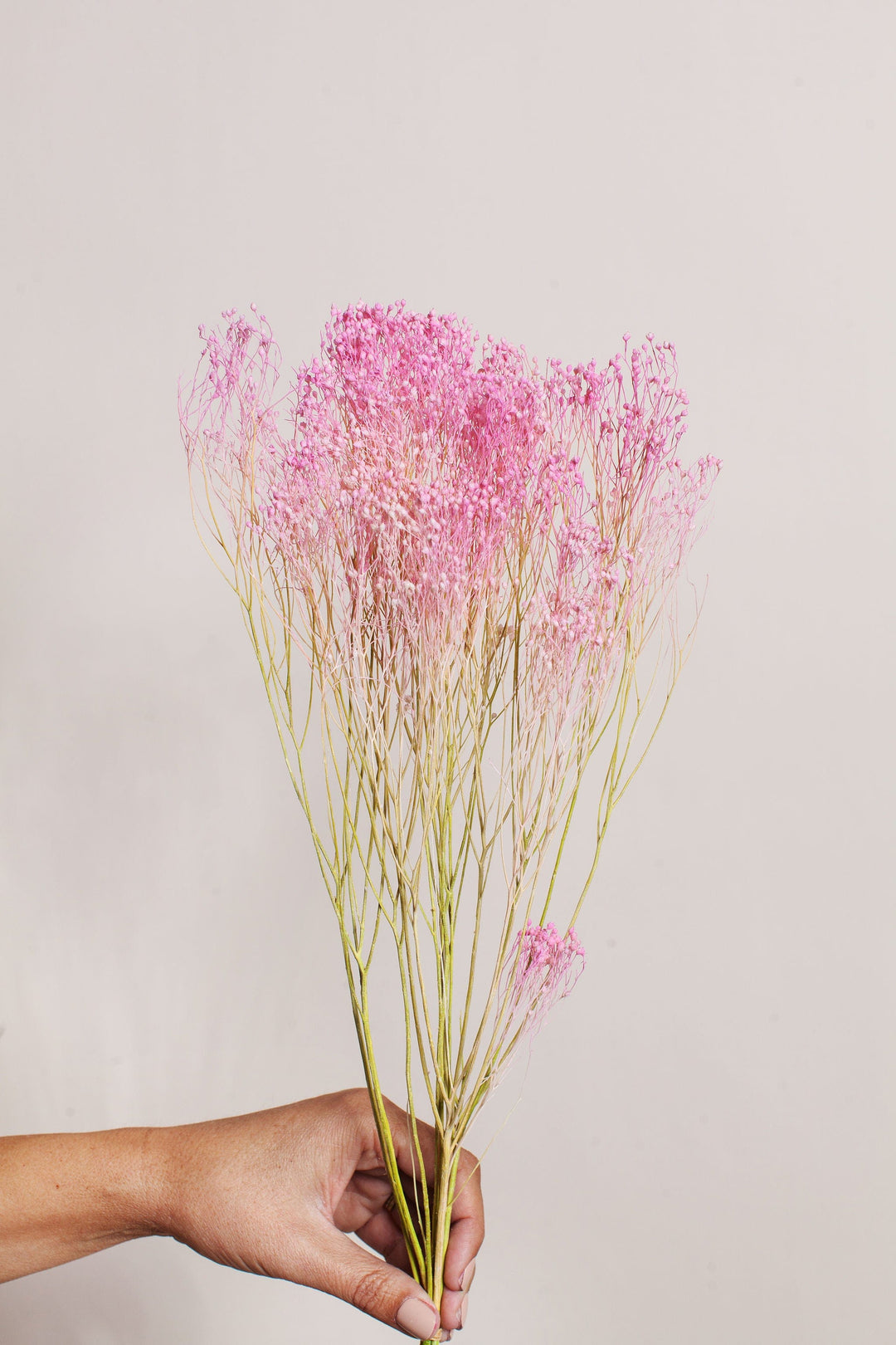 Bunches Pink Green Broom Bloom send a bouquet- the best flower delivery