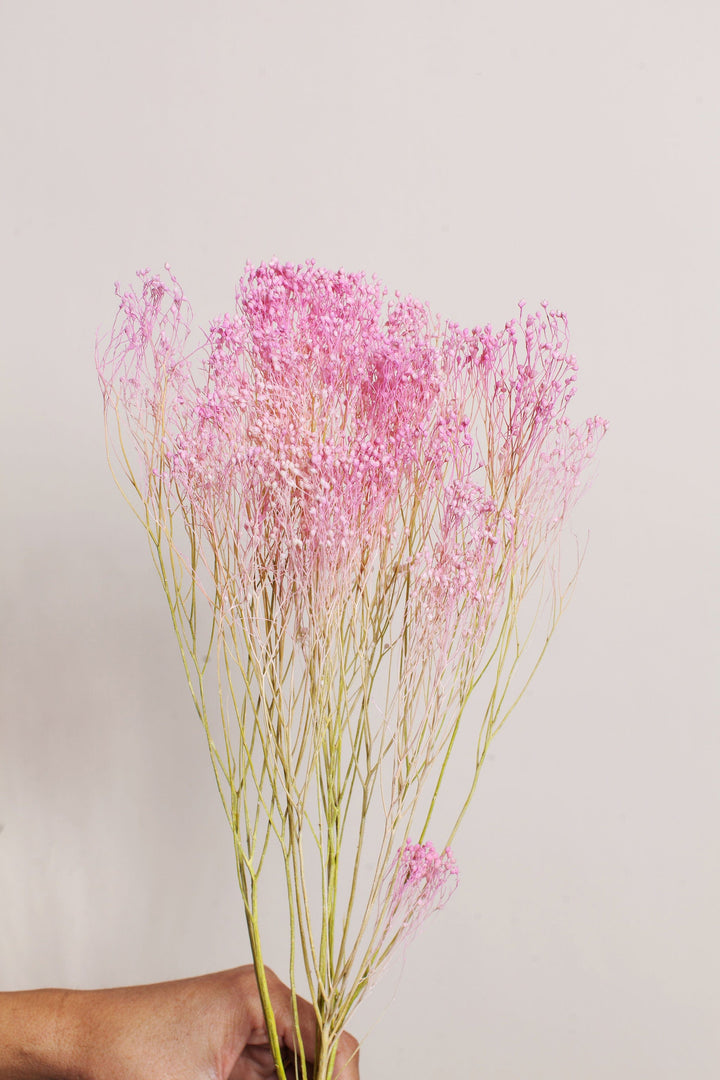 Bunches Pink Green Broom Bloom send a bouquet- the best flower delivery