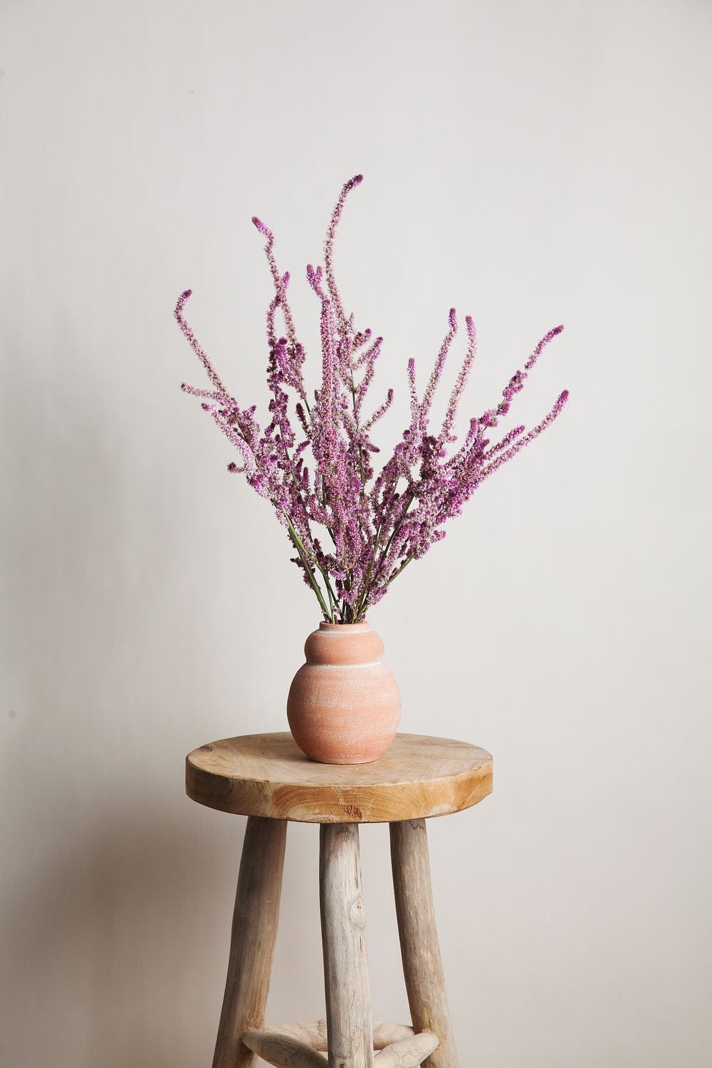 Dried and Preserved Flower Bunches