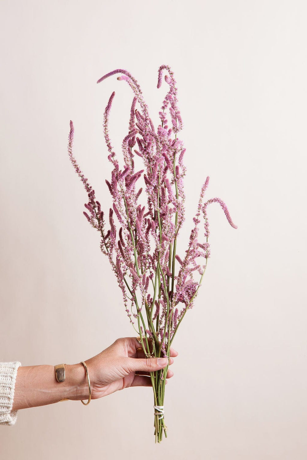 Bunches Pink Russian Statice send a bouquet- the best flower delivery