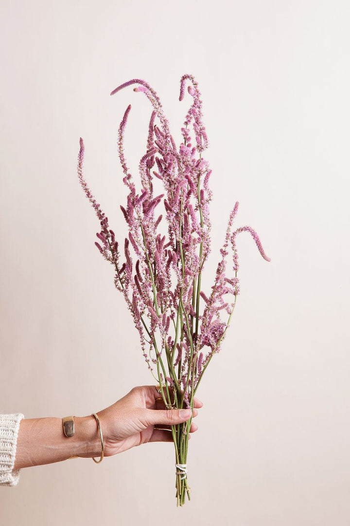 Bunches Pink Russian Statice send a bouquet- the best flower delivery