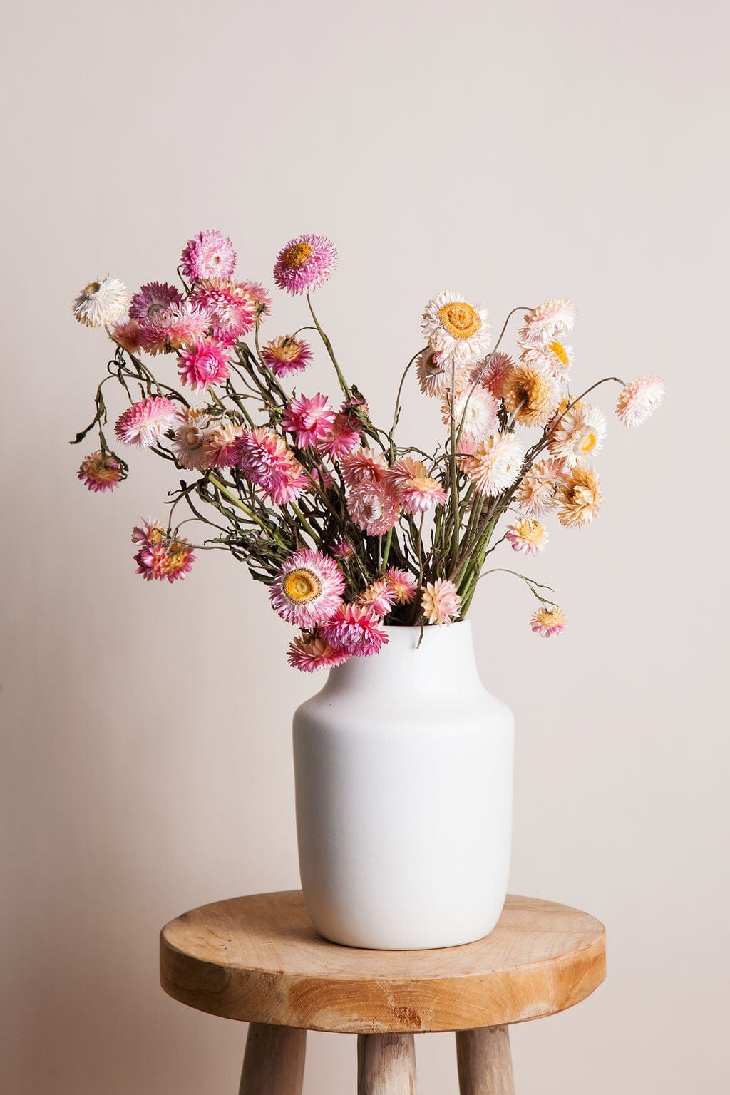 Bunches Pink Strawflower send a bouquet- the best flower delivery