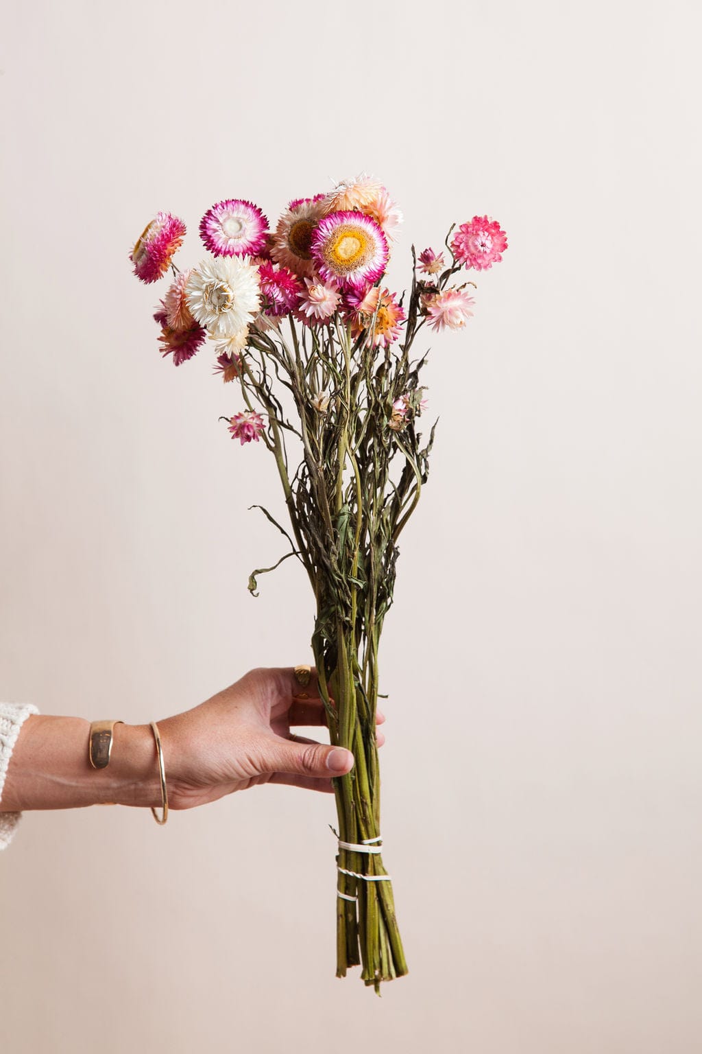 Bunches Pink Strawflower send a bouquet- the best flower delivery