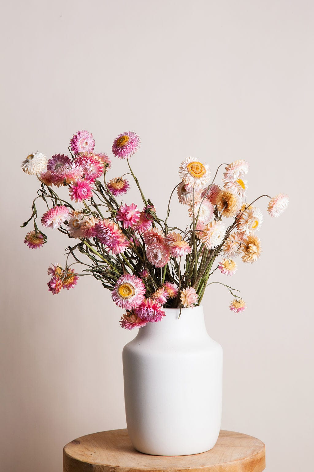 Bunches Pink Strawflower send a bouquet- the best flower delivery