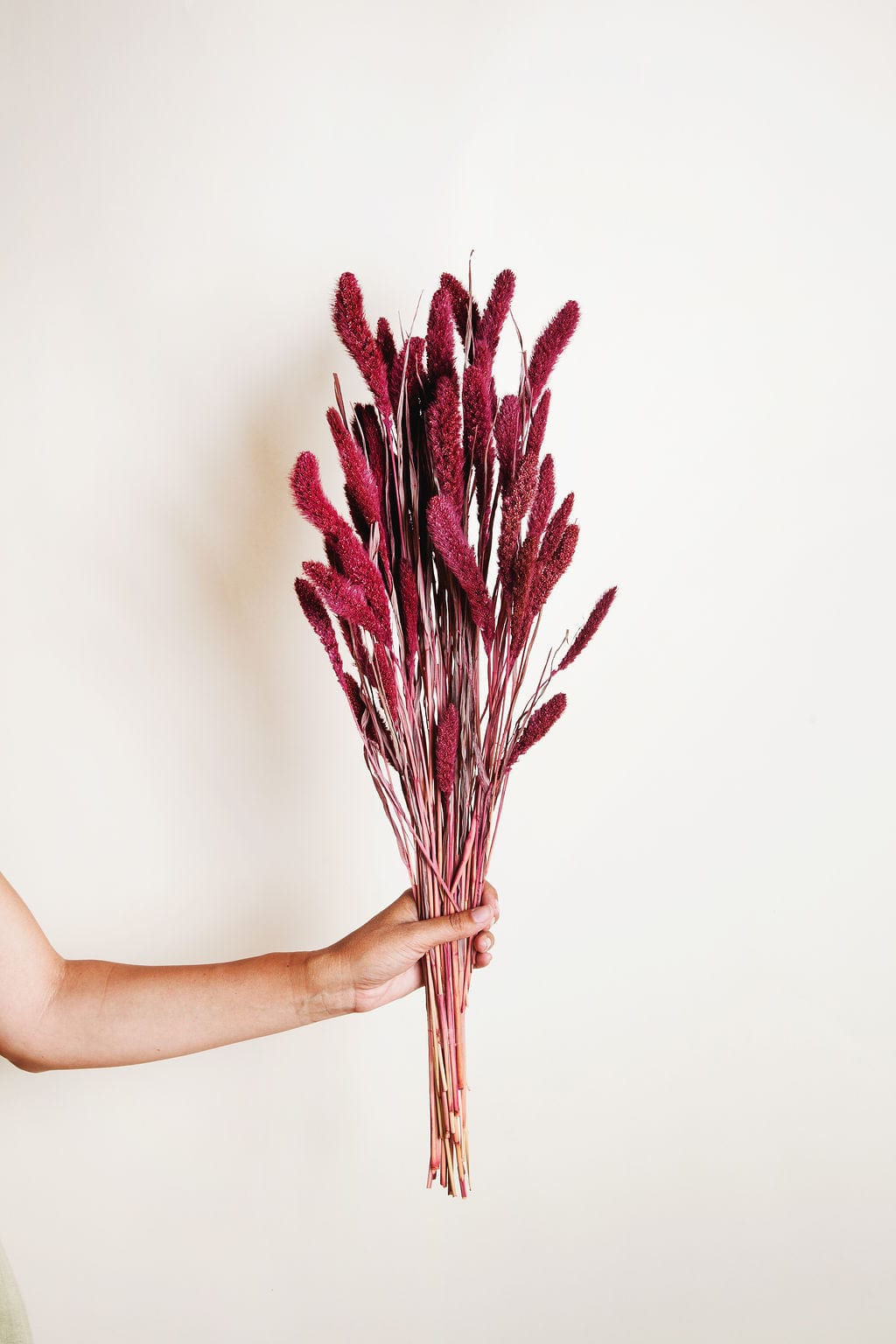 Bunches Plum Dried Setarea Grass send a bouquet- the best flower delivery