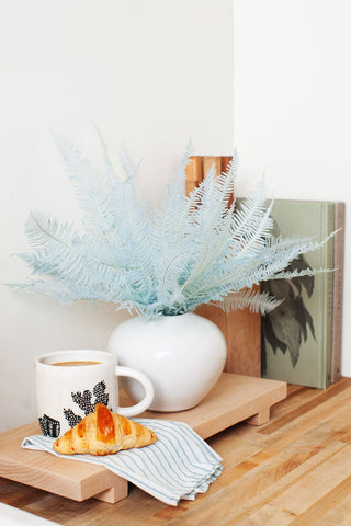 Bunches Preserved Baby Blue Star Fern send a bouquet- the best flower delivery
