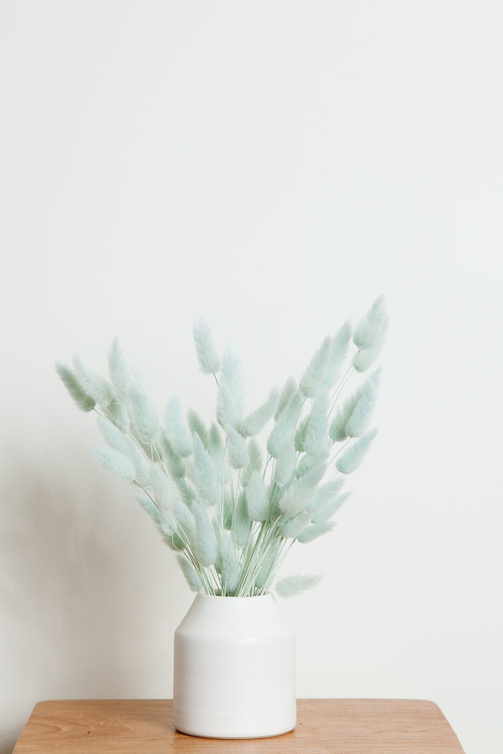 Bunches Preserved Blue Bunny Tail send a bouquet- the best flower delivery