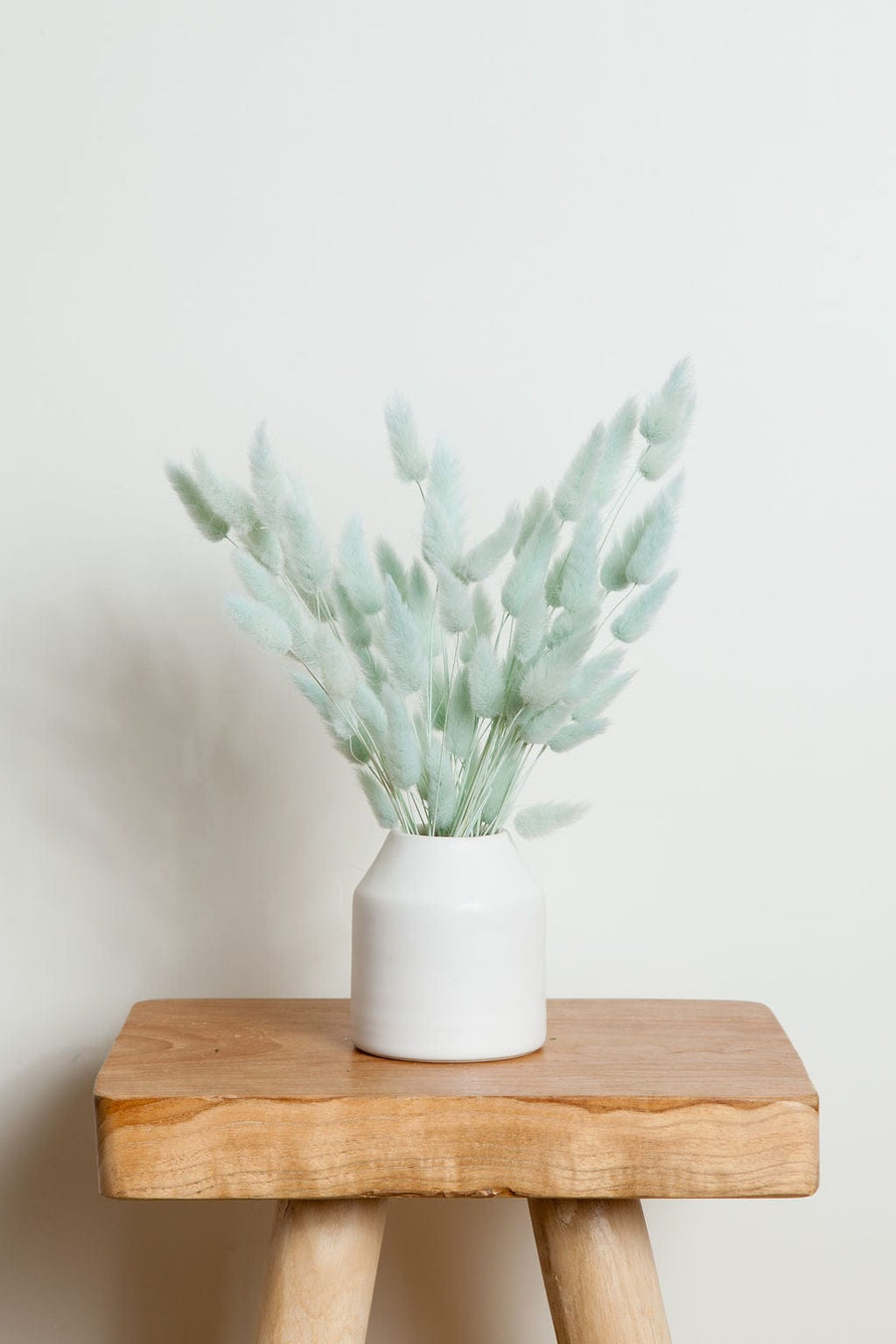 Bunches Preserved Blue Bunny Tail send a bouquet- the best flower delivery