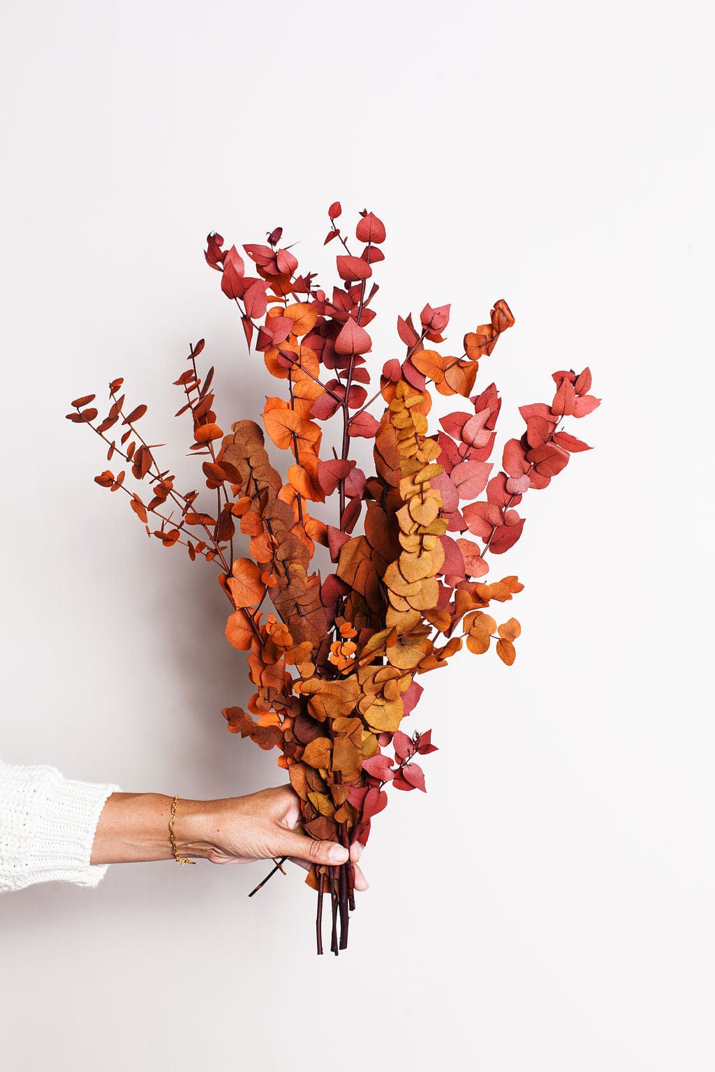 Dried and Preserved Flower Bunches