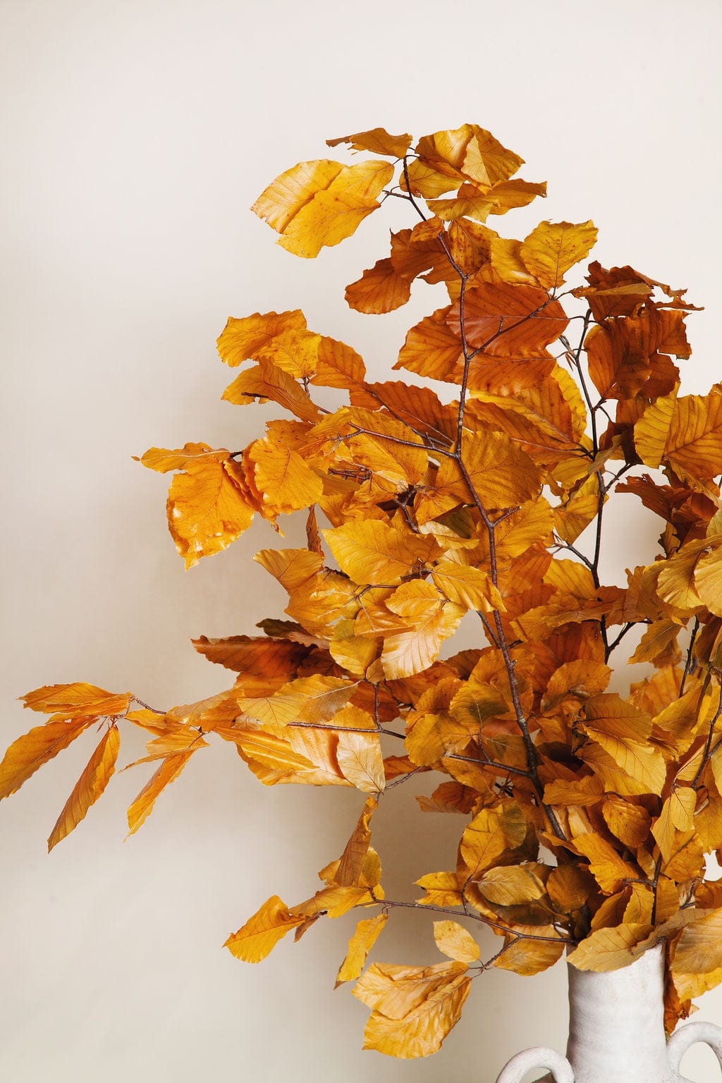 Bunches Preserved Golden Beech send a bouquet- the best flower delivery