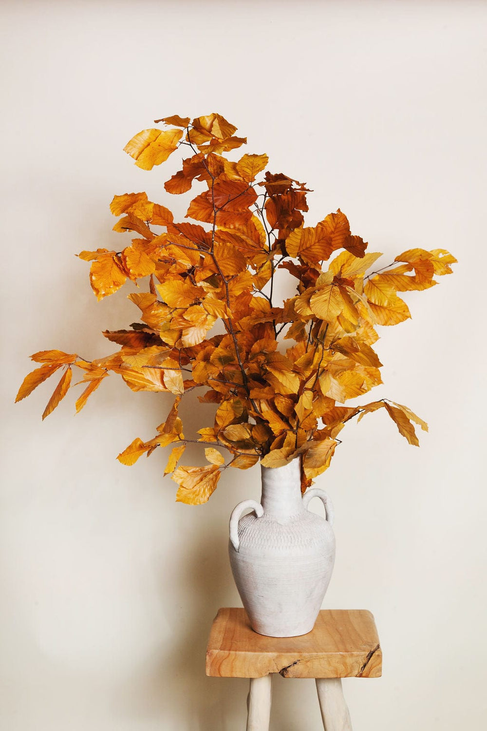 Bunches Preserved Golden Beech send a bouquet- the best flower delivery