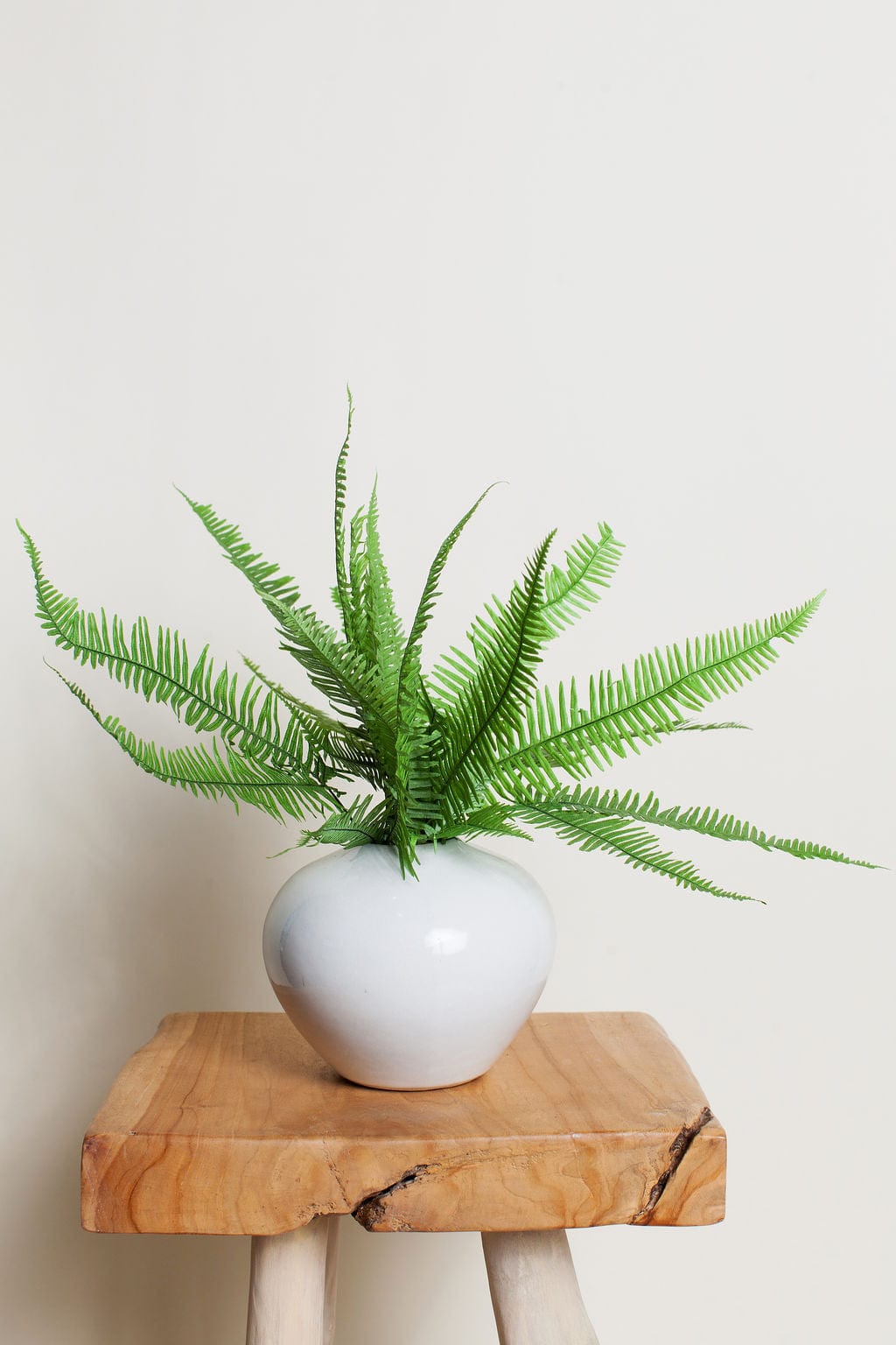 Bunches Preserved Green Star Fern Bunch send a bouquet- the best flower delivery