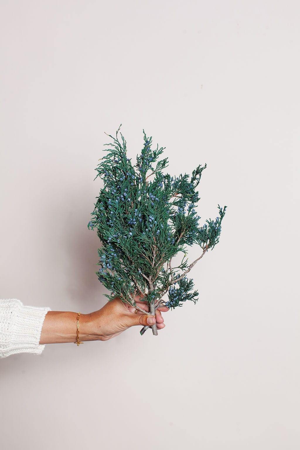 Idlewild Floral Co. Bunches Preserved Juniper