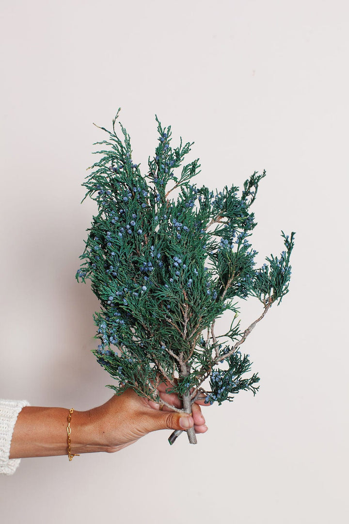 Idlewild Floral Co. Bunches Preserved Juniper