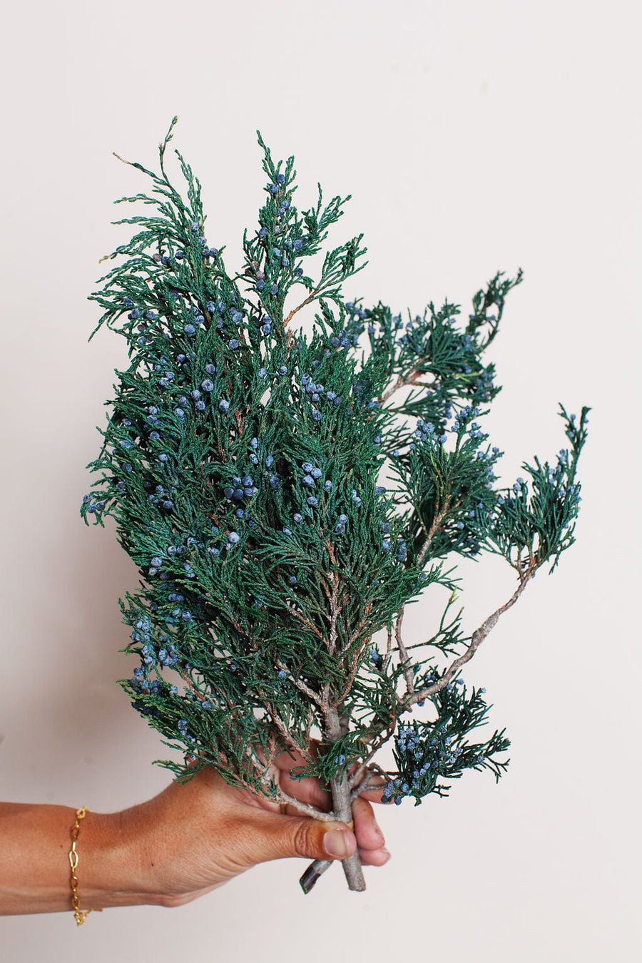 Idlewild Floral Co. Bunches Preserved Juniper