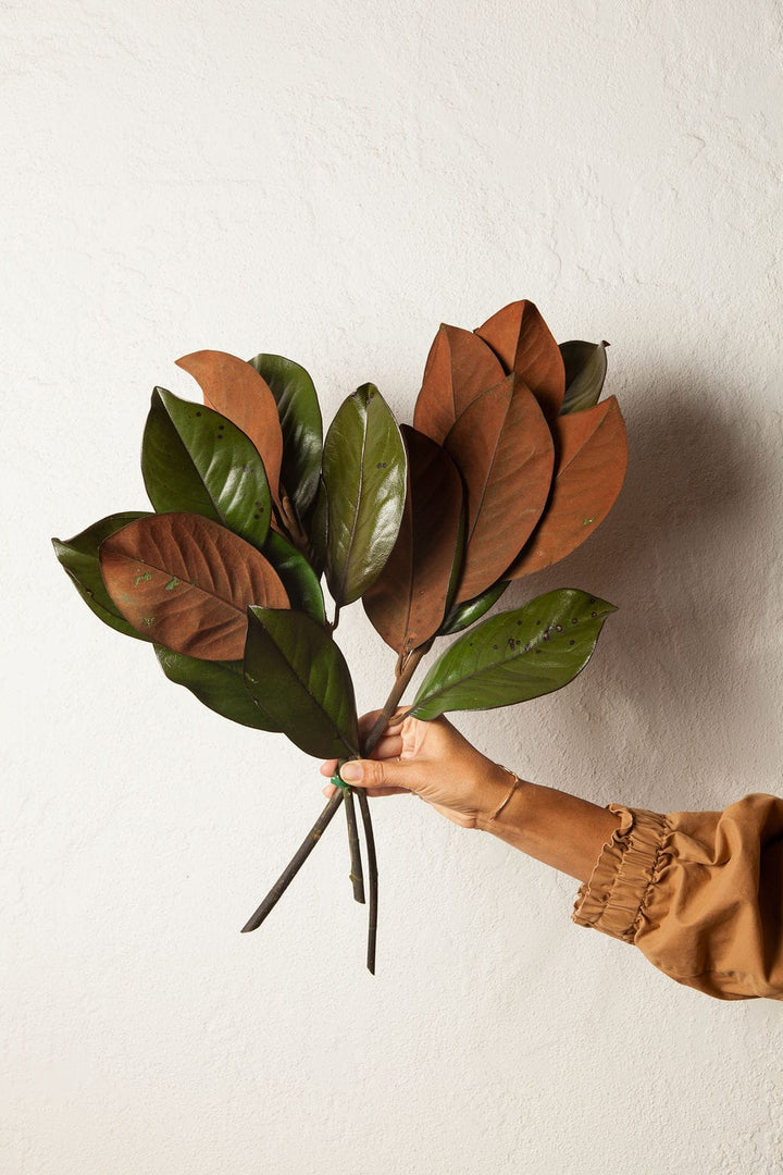 Bunches Preserved Magnolia Foliage send a bouquet- the best flower delivery