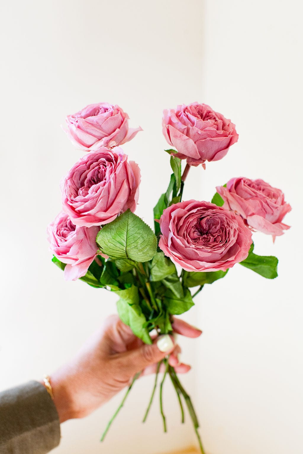 Bunches Preserved Mauve Garden Roses send a bouquet- the best flower delivery