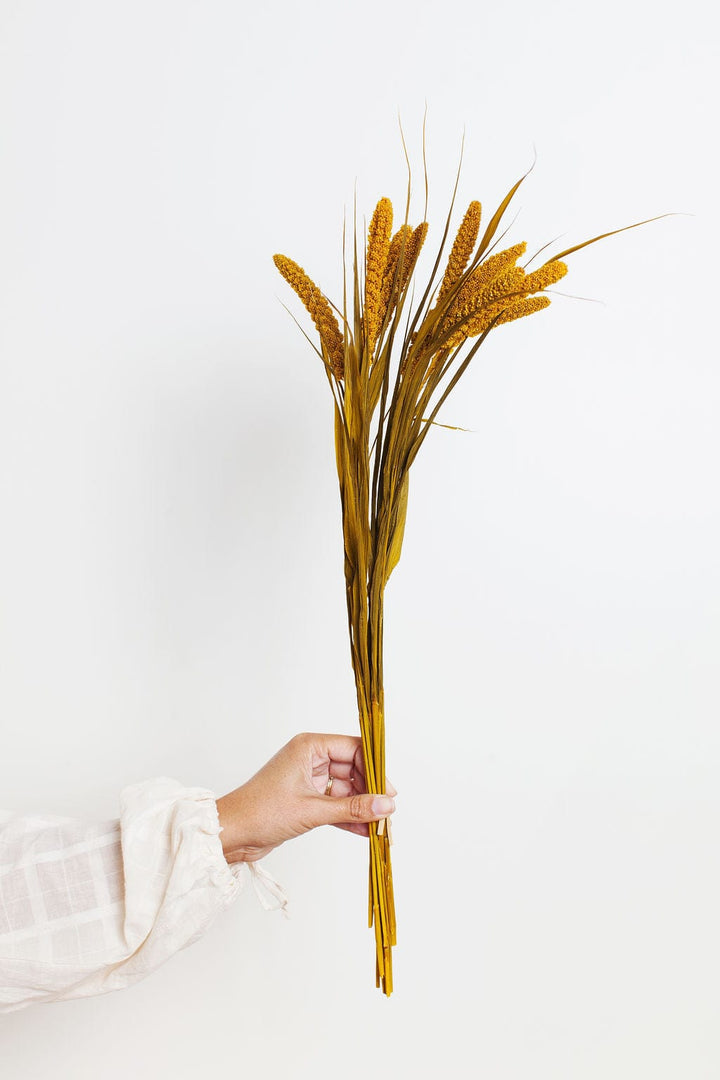 Bunches Preserved Mustard Millet send a bouquet- the best flower delivery