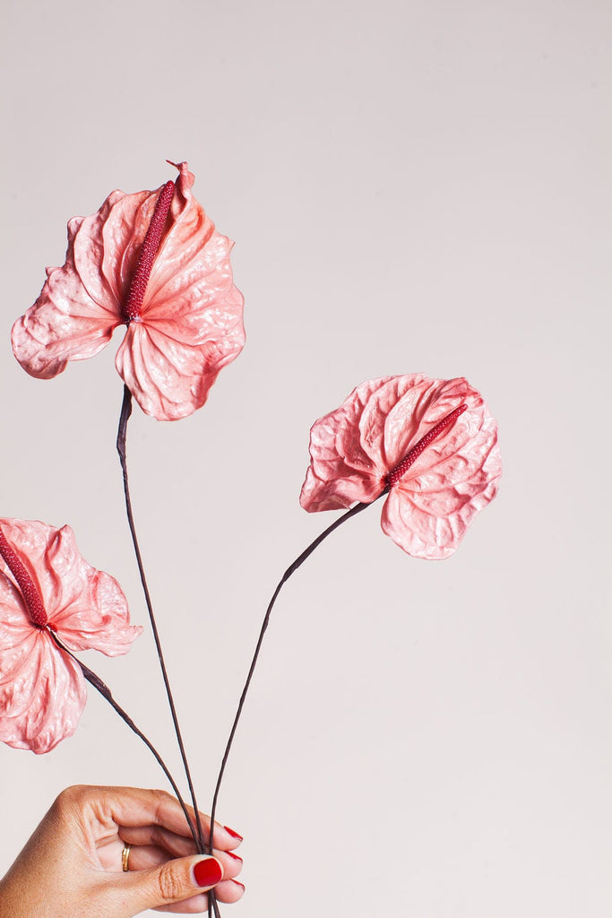 Preserved Pink Anthurium Flower | Bulk Dried Flowers | Idlewild