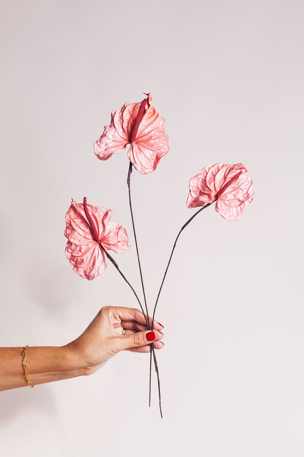 Bunches Preserved Pink Anthurium send a bouquet- the best flower delivery