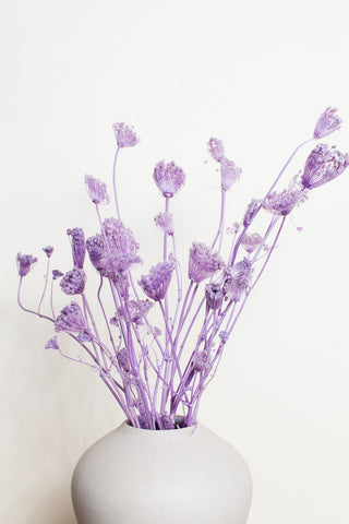Bunches Preserved Purple Fennel send a bouquet- the best flower delivery
