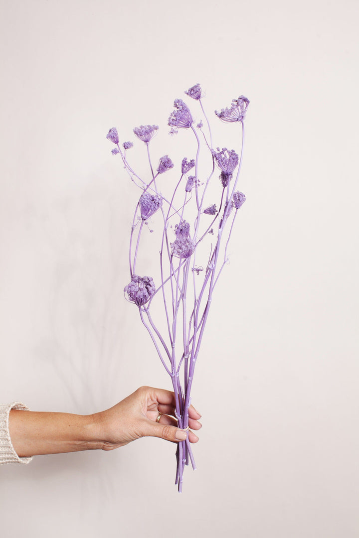 Bunches Preserved Purple Fennel send a bouquet- the best flower delivery