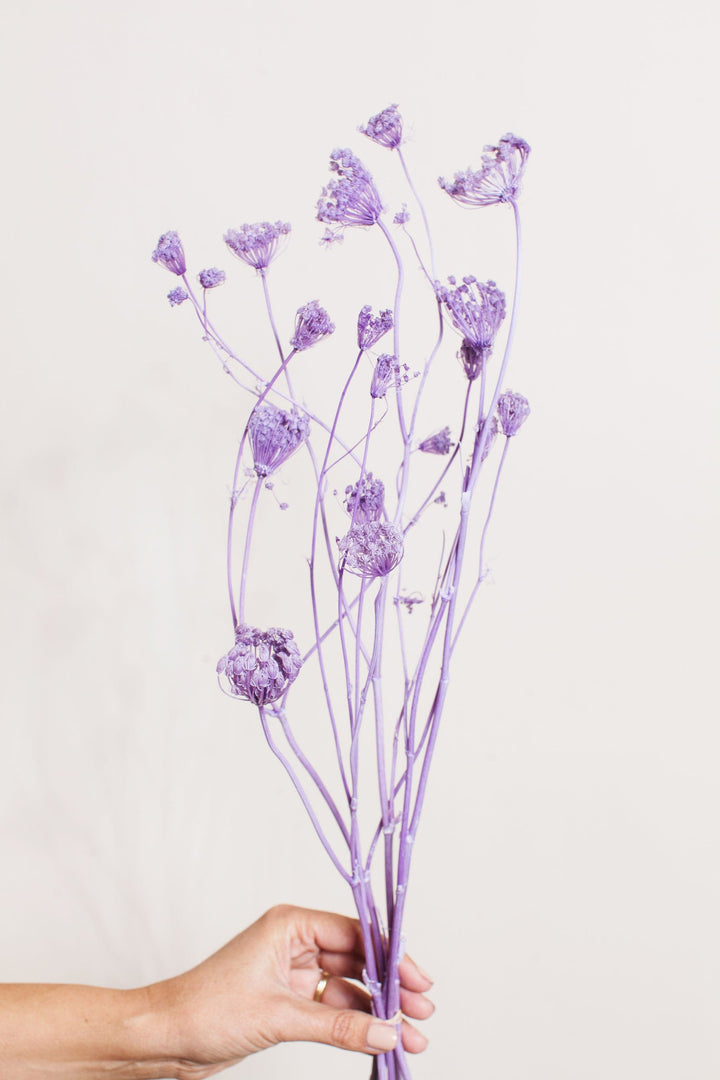 Bunches Preserved Purple Fennel send a bouquet- the best flower delivery