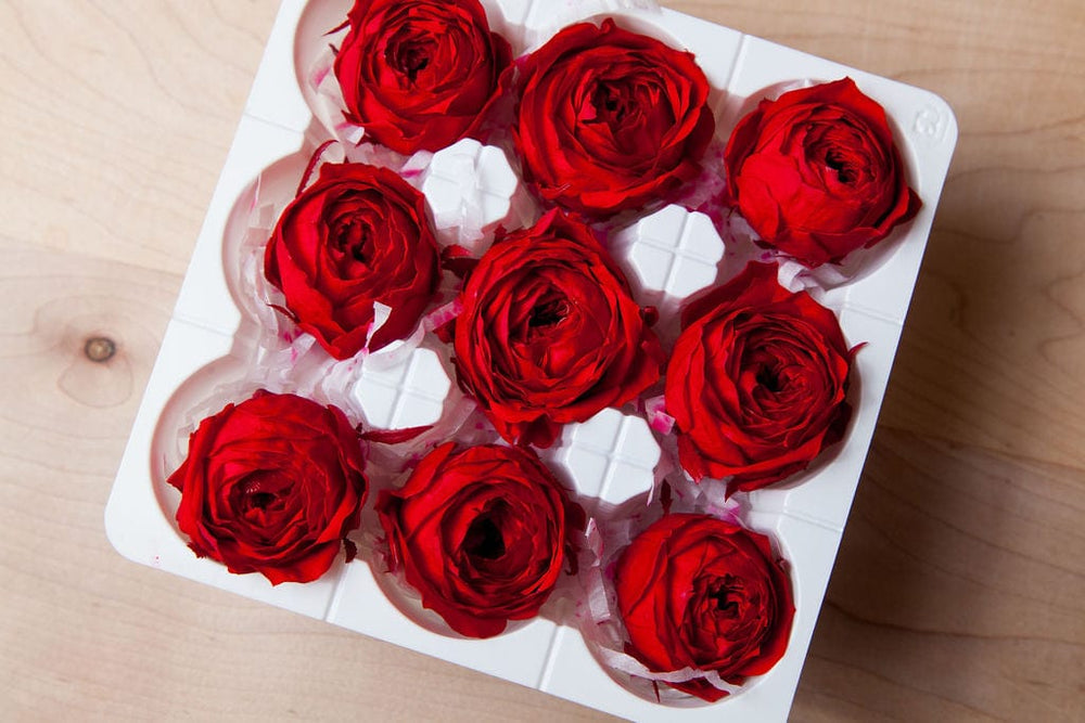 Bunches Preserved Red Garden Roses send a bouquet- the best flower delivery