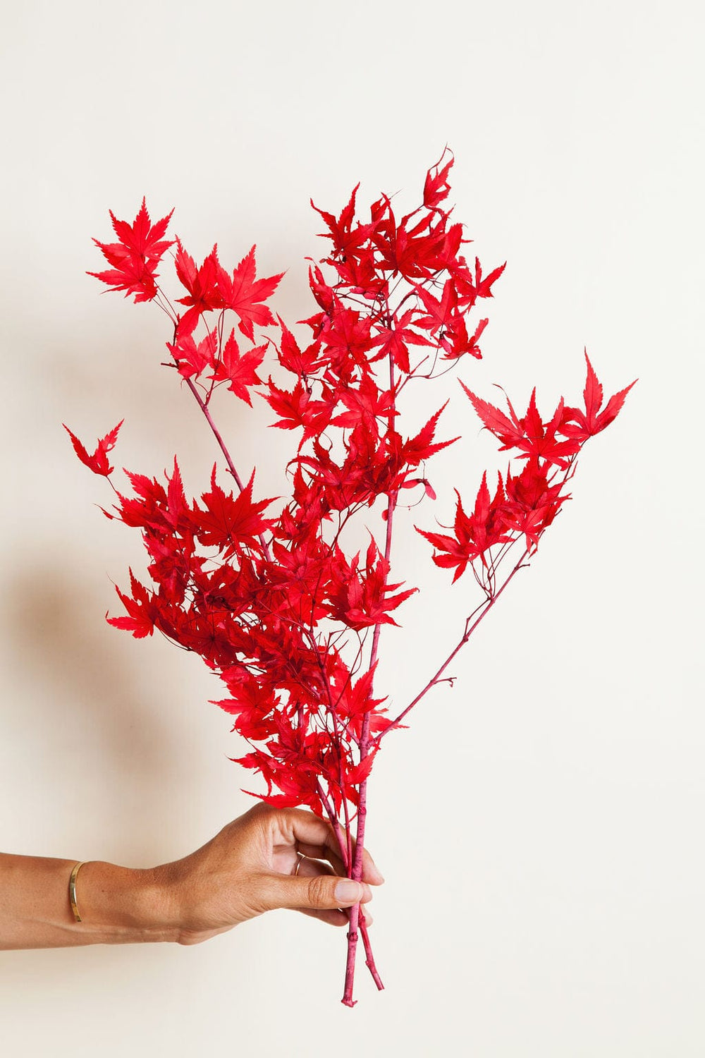 Bunches Preserved Red Japanese Maple Branches send a bouquet- the best flower delivery