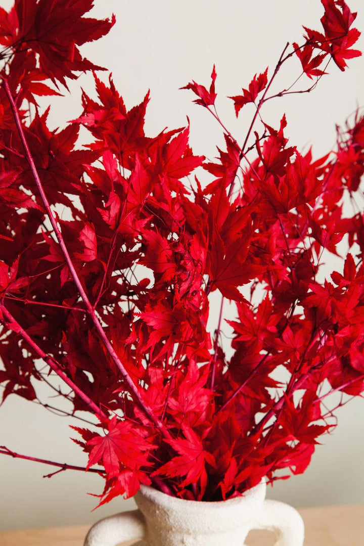 Bunches Preserved Red Japanese Maple Branches send a bouquet- the best flower delivery