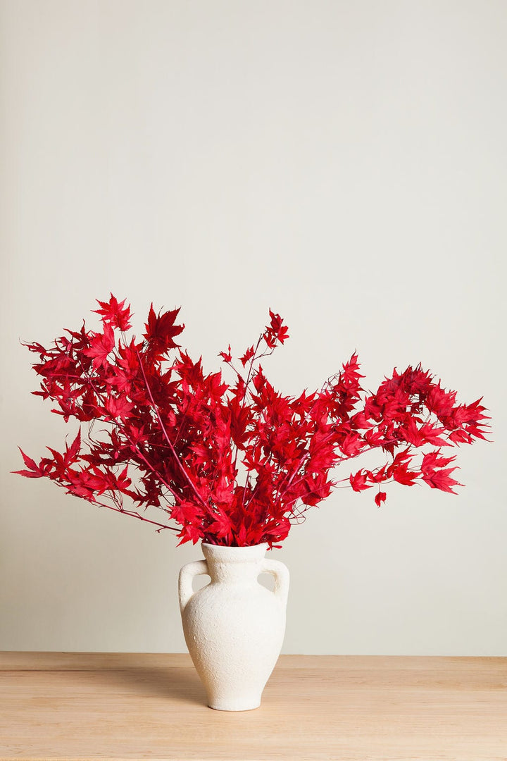 Bunches Preserved Red Japanese Maple Branches send a bouquet- the best flower delivery