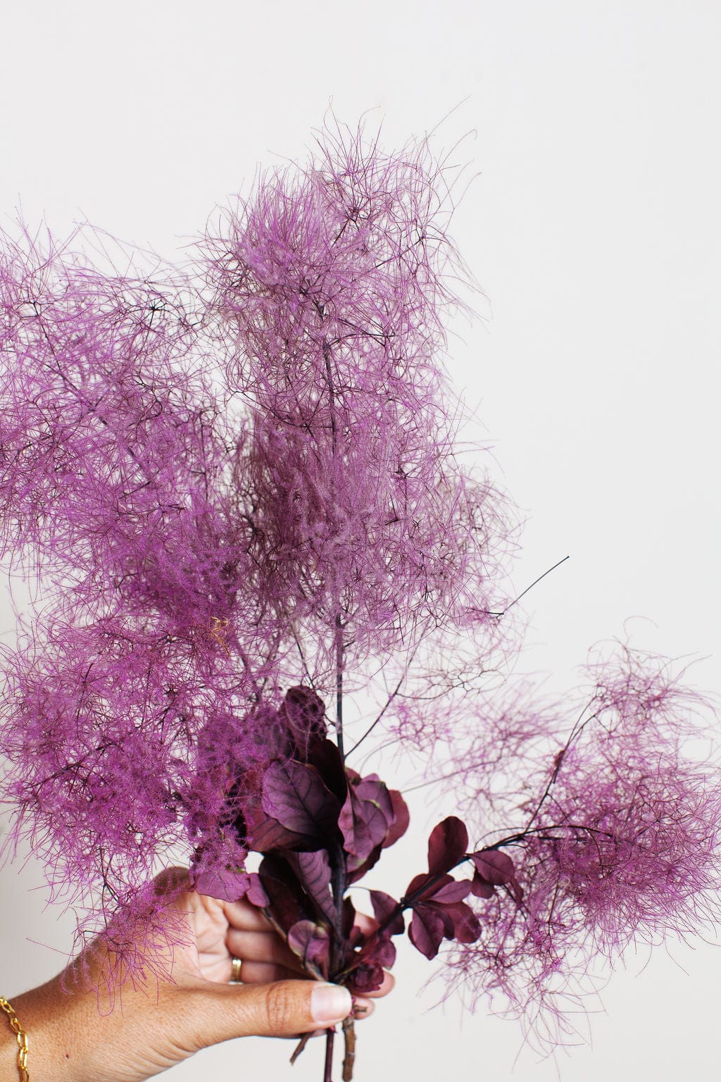 Idlewild Floral Co. Bunches Preserved Smoke Bush