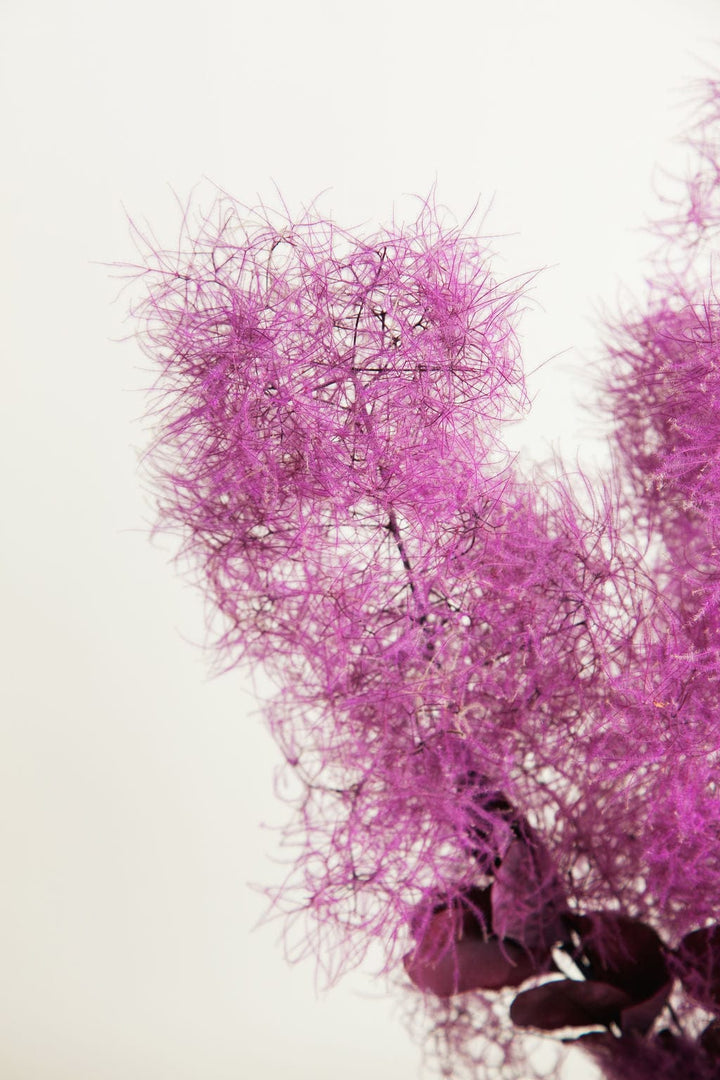 Bunches Preserved Smoke Bush send a bouquet- the best flower delivery