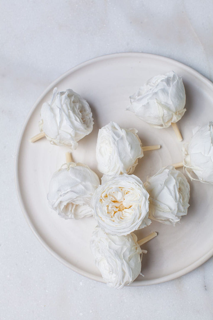 Bunches Preserved White Garden Roses send a bouquet- the best flower delivery