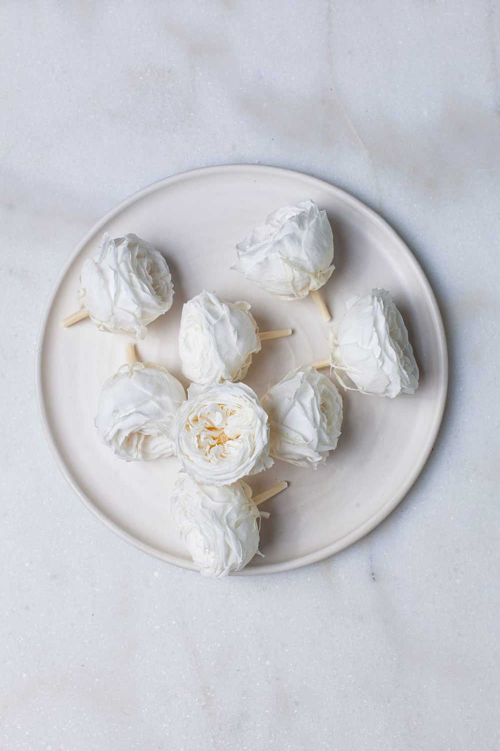 Bunches Preserved White Garden Roses send a bouquet- the best flower delivery