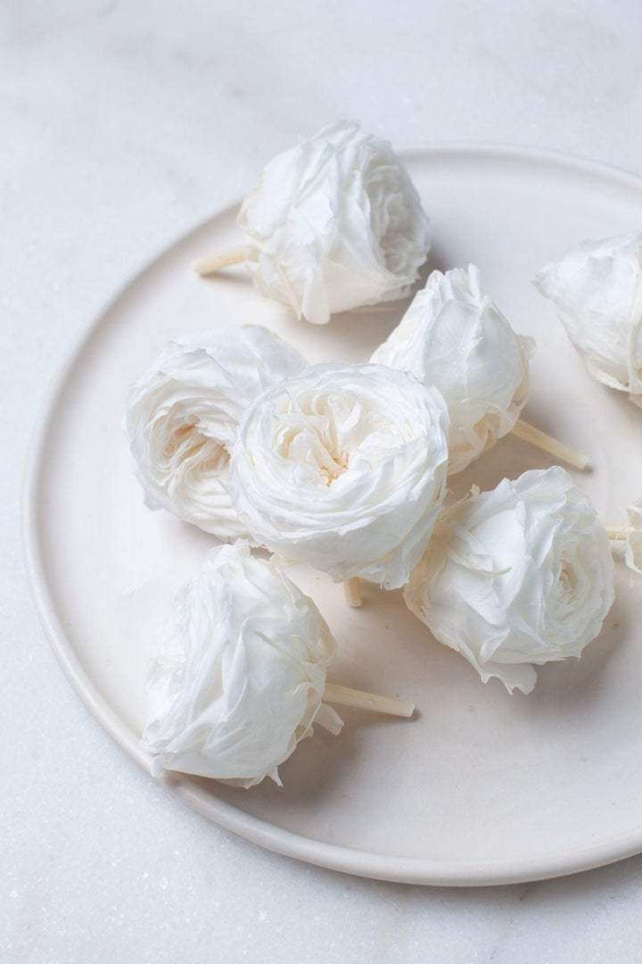 Bunches Preserved White Garden Roses send a bouquet- the best flower delivery