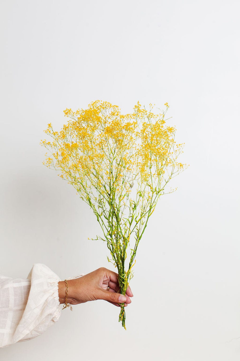 Bunches Preserved Yellow Baby's Breath send a bouquet- the best flower delivery